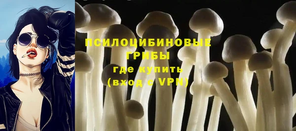соль ск Алзамай