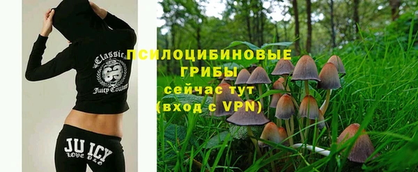 соль ск Алзамай