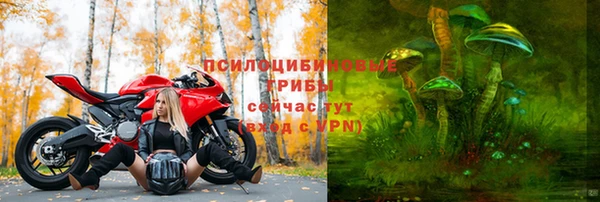 ГАЛЛЮЦИНОГЕННЫЕ ГРИБЫ Алексин