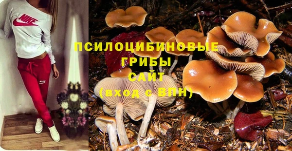 соль ск Алзамай