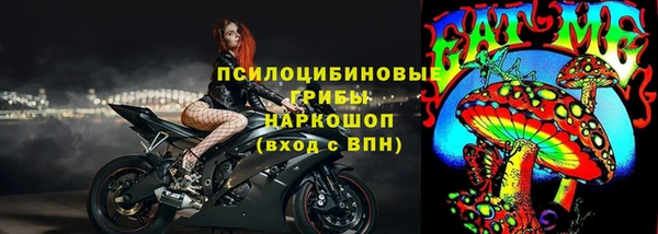 соль ск Алзамай